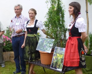 Two clematis named for the two daughters of the hybridizer!